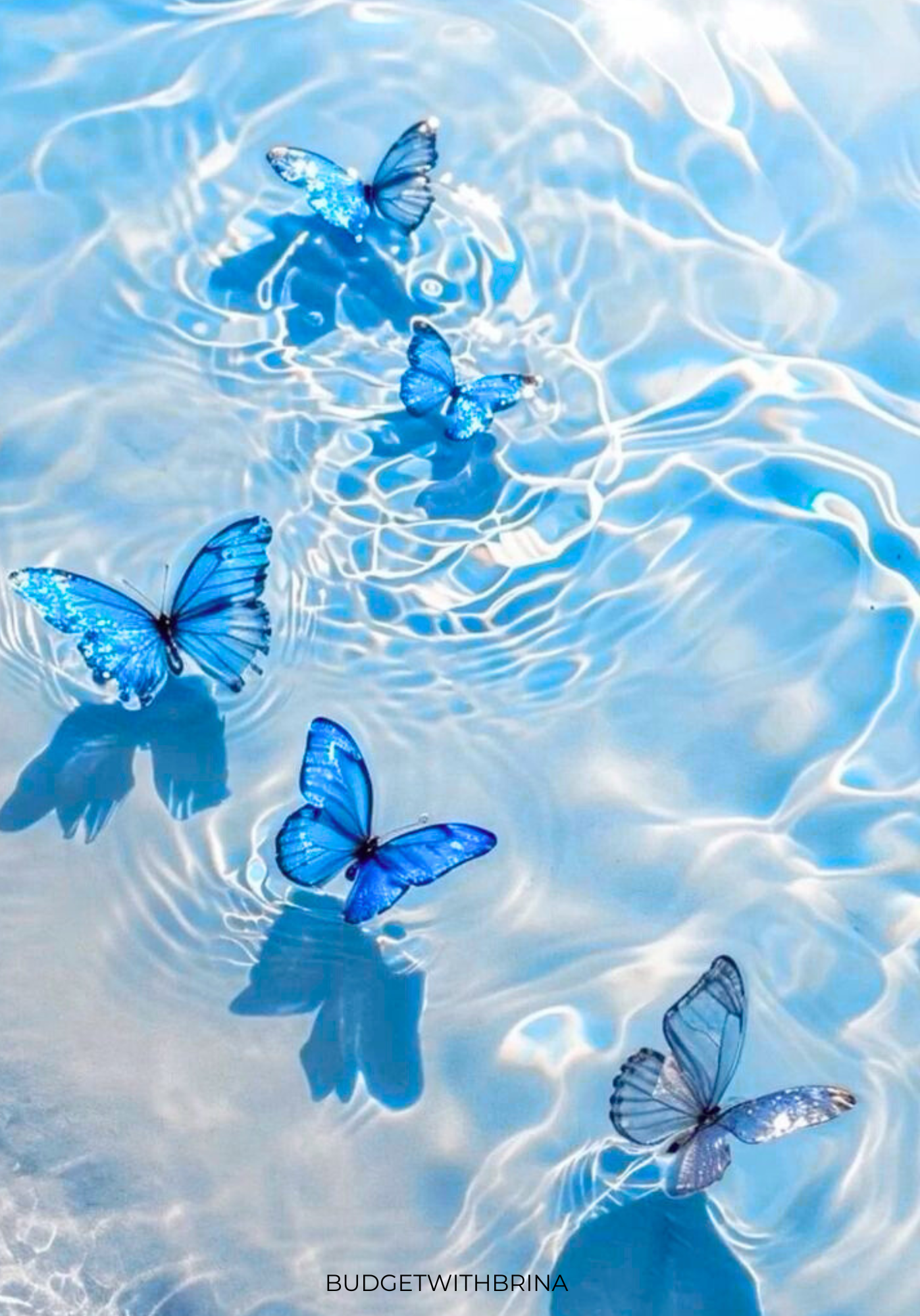 A5 Butterfly In The Ocean Dashboard