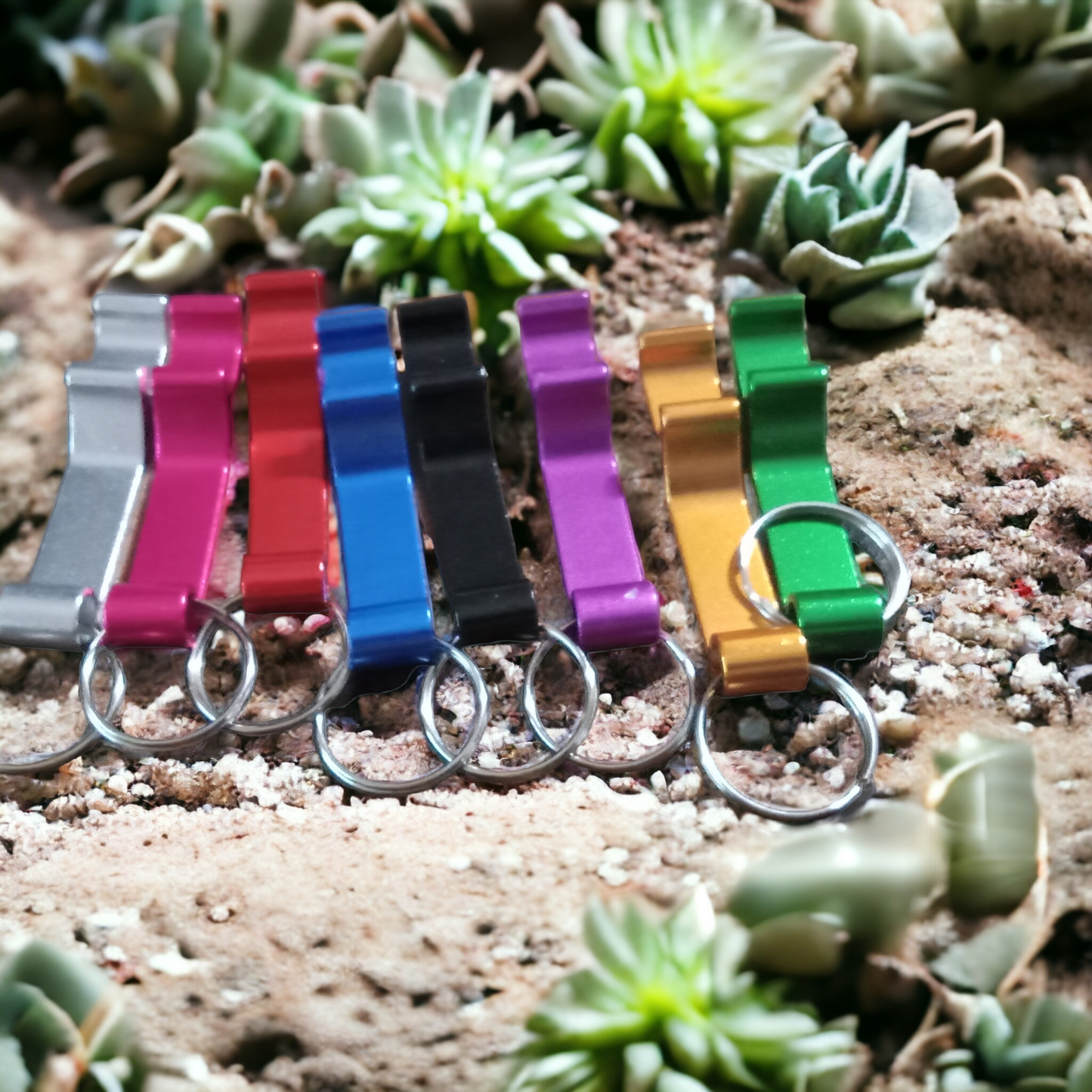 Bottle Opener/Multifunctional Keychain