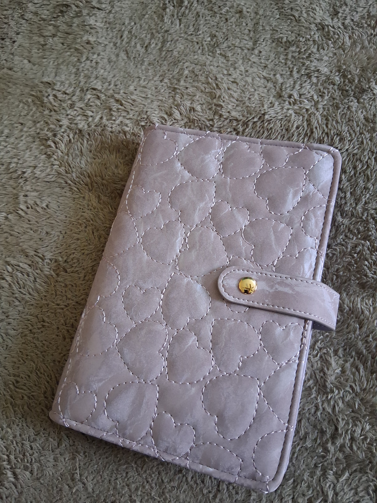 Velvety Finish Budget Binder: Cash Stuffing Organizer with Snap-Button Strap
