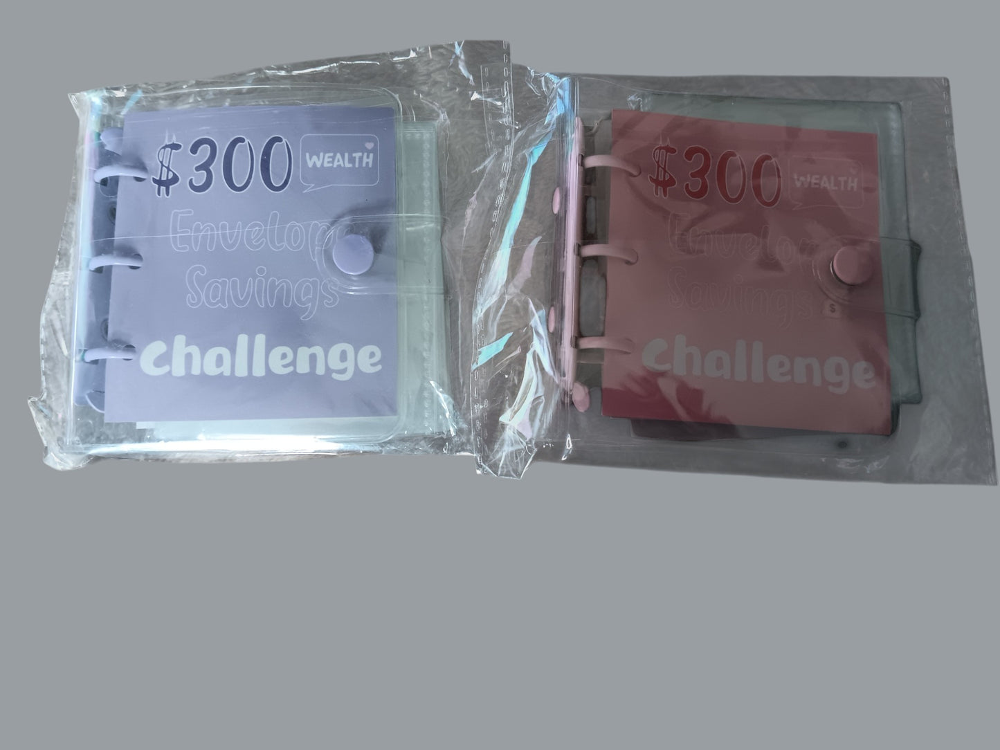 $300 Savings Challenge Kit with Binder