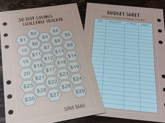 A6 30 Day Savings Tracker Challenge