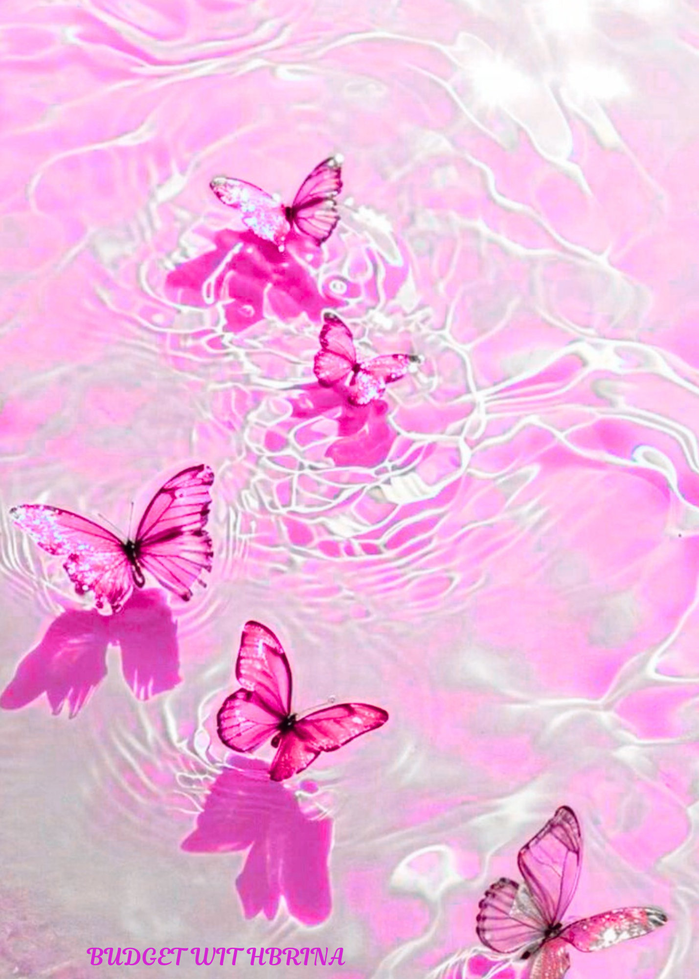 A5 Butterfly In The Ocean Dashboard