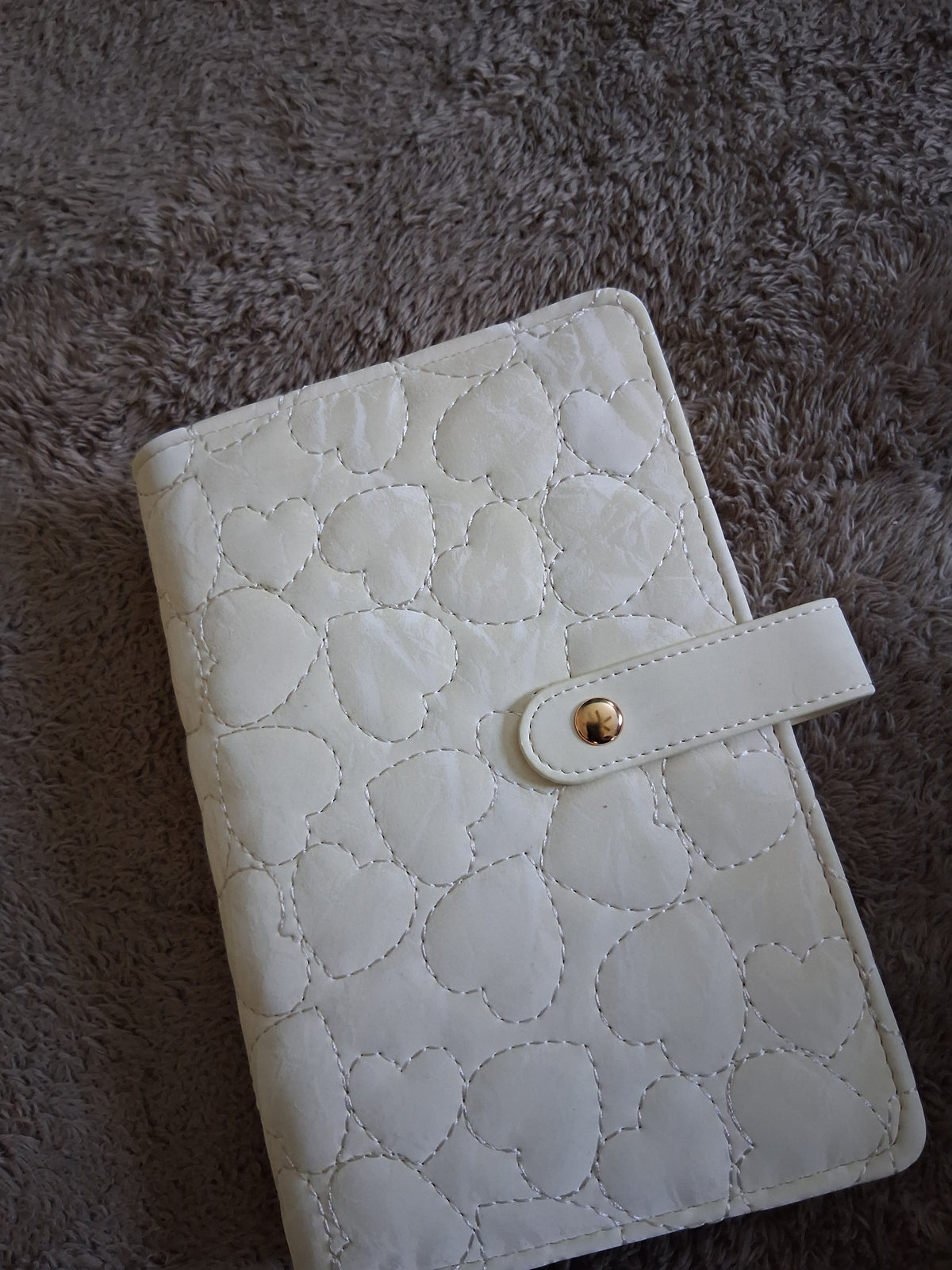 Velvety Finish Budget Binder: Cash Stuffing Organizer with Snap-Button Strap