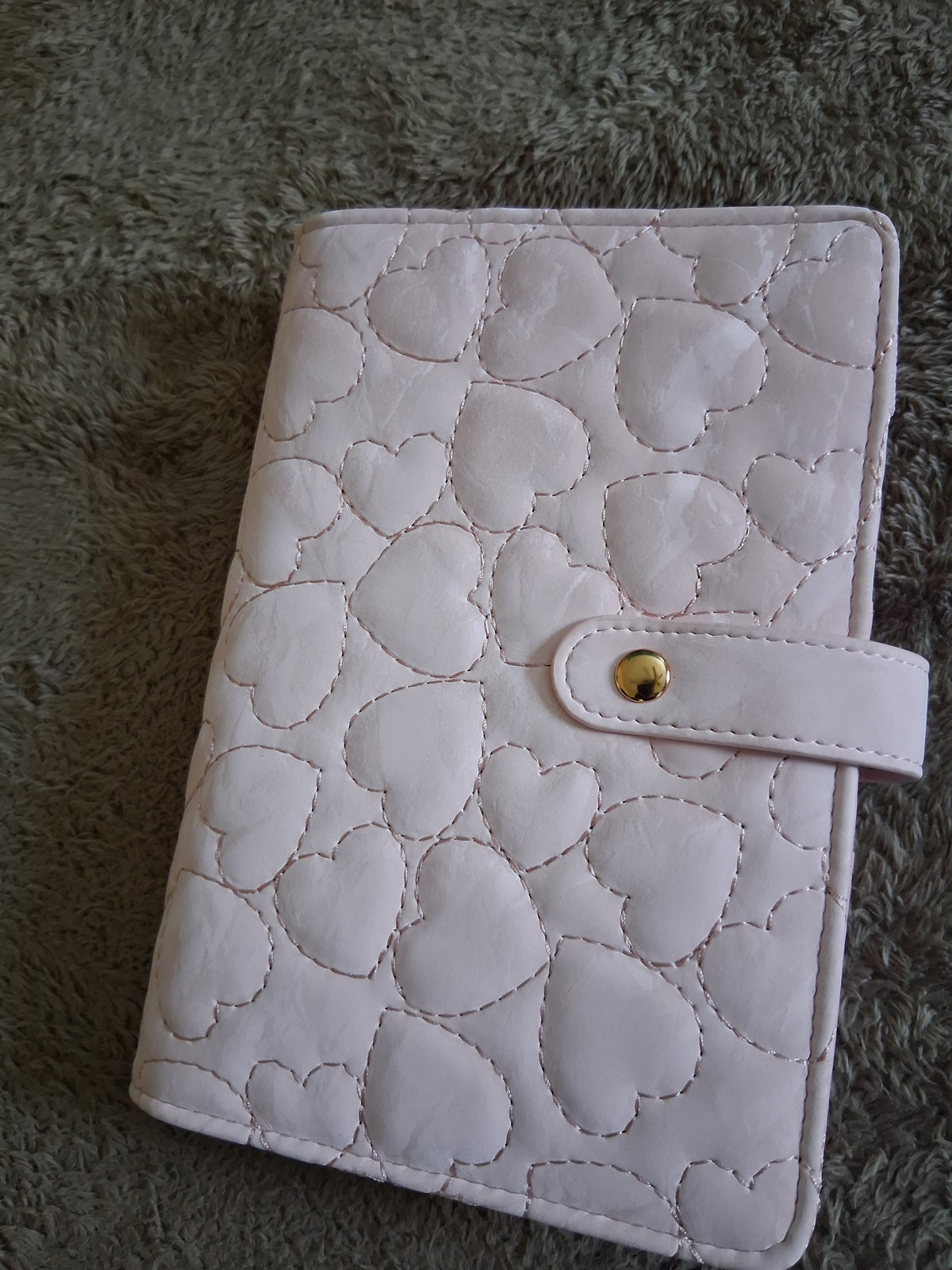 Velvety Finish Budget Binder: Cash Stuffing Organizer with Snap-Button Strap
